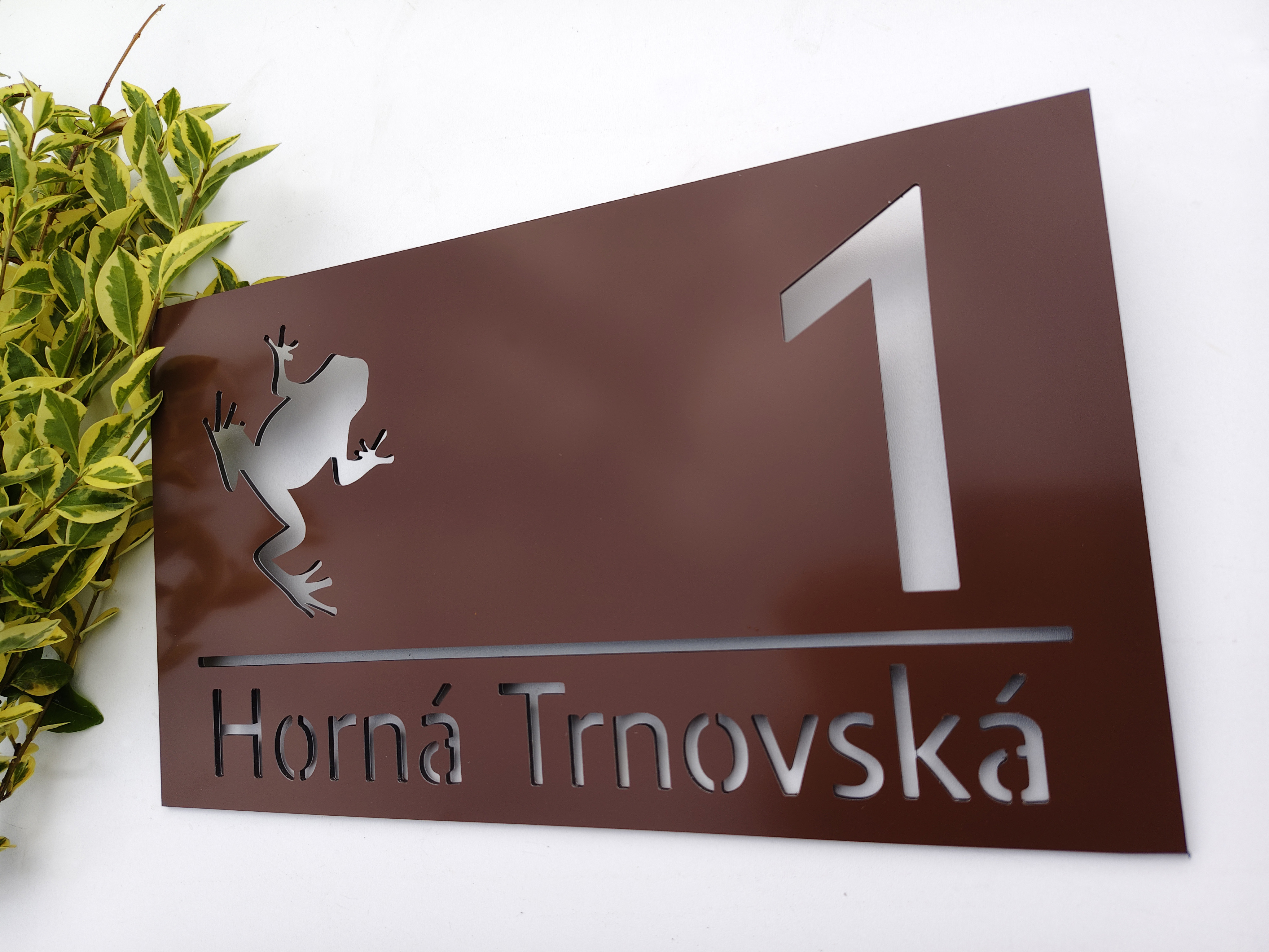 Číslo popisné: Žabka